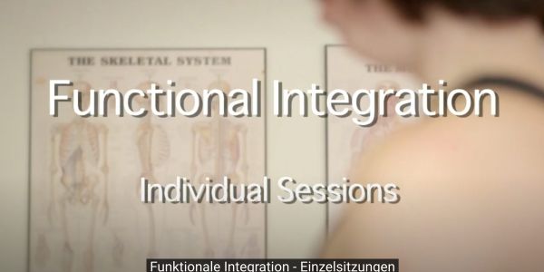 Funktionale Integration